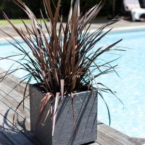 DÉSTOCKAGE Jardinière et pot carré GRAPHIT