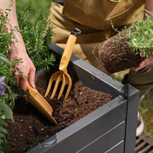 ARROSOIRS & OUTILS OUTIL GAIA