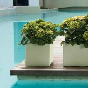 POTS DÉCOS CARRÉS Pot KEBE