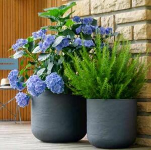 DÉSTOCKAGE POT VOLCANIA