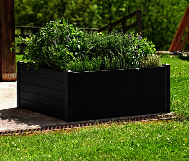 POTAGER & AROMATIQUES POTAGER TRAMA 003