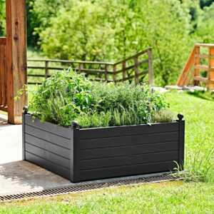 POTAGER & AROMATIQUES POTAGER TRAMA 003