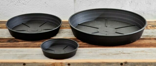 DIVERS SOUCOUPES PLATES