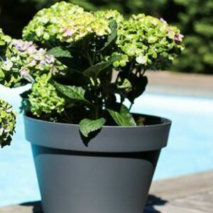DÉSTOCKAGE TOSCANE  pot rond simple paroi