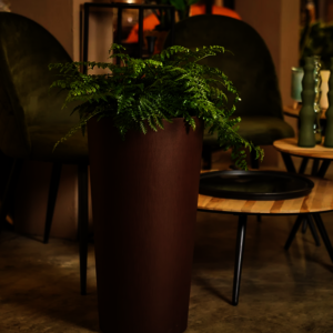 POTS DÉCOS RONDS TUIT RAW