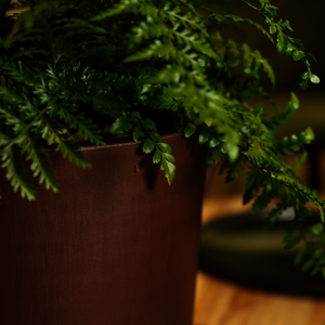 POTS DÉCOS RONDS TUIT RAW