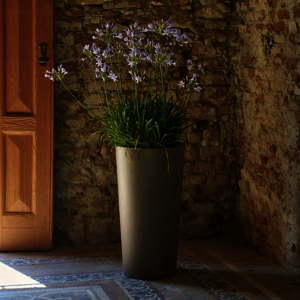 POTS DÉCOS RONDS TUIT RAW