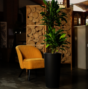 POTS DÉCOS RONDS TUIT RAW