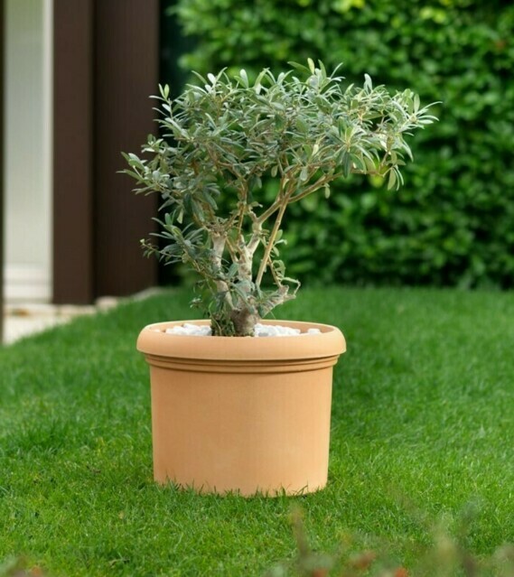 POTS DÉCOS RONDS VICENZA