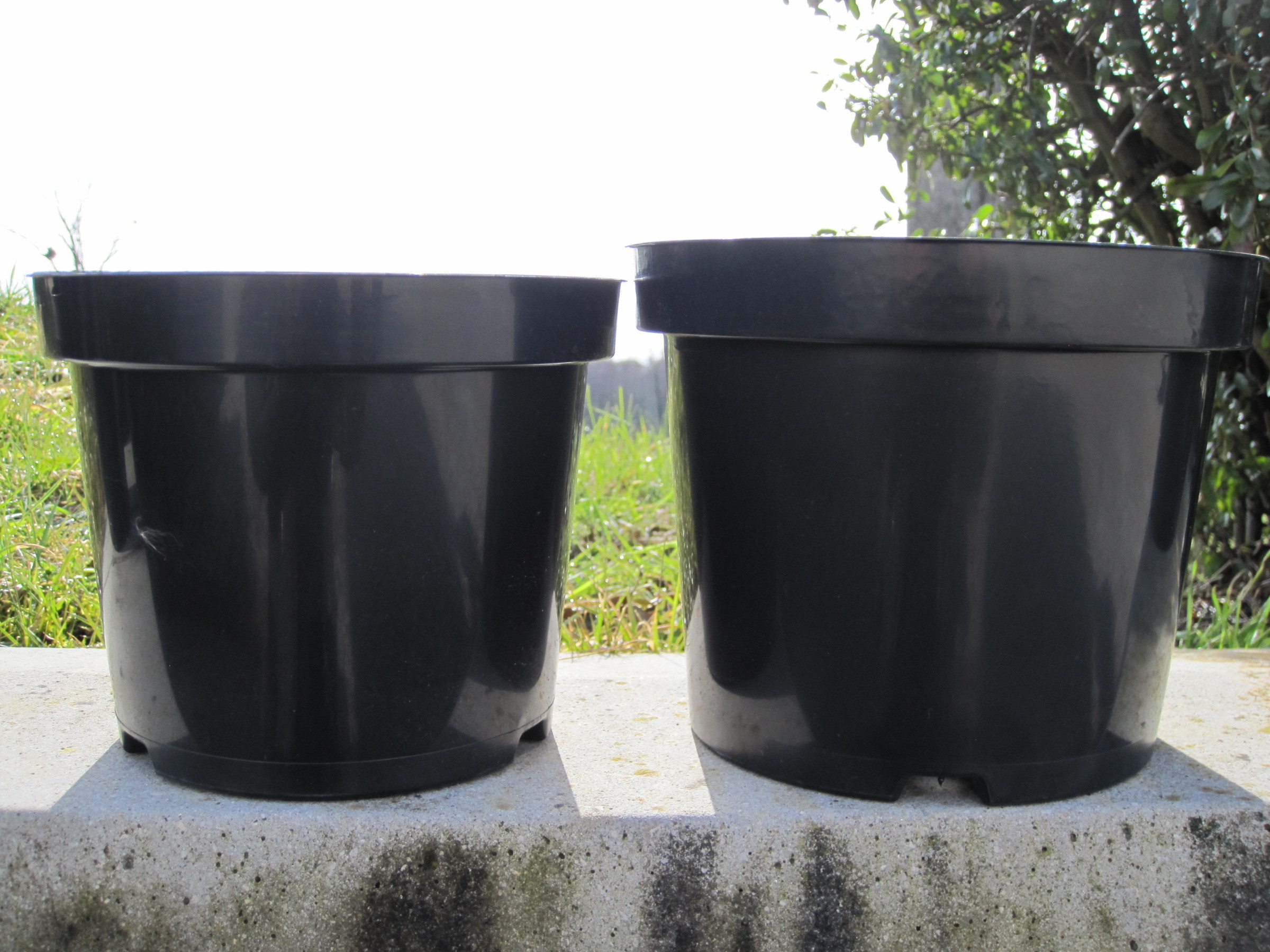 Acheter 20 pièces Pot de fleur en plastique plante pépinière Pot