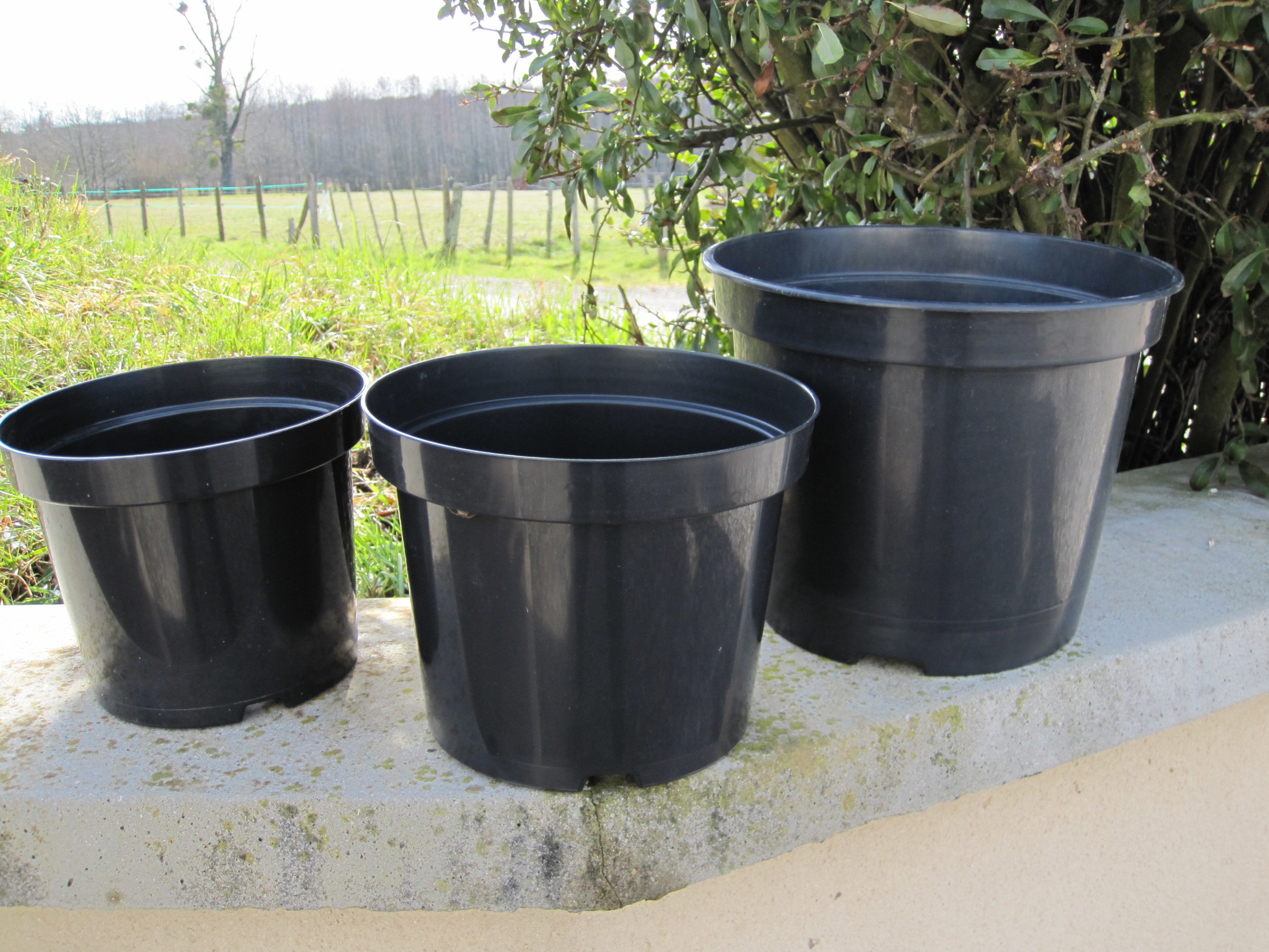 Pots de rempotage en bois colorés (Disques)